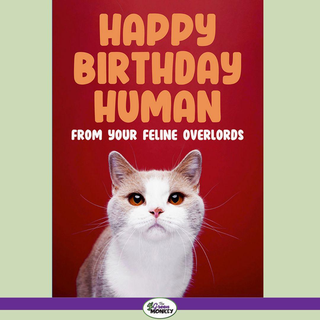 Happy Birthday Human Cat Card By Dean Morris (DMA516) | The Green ...